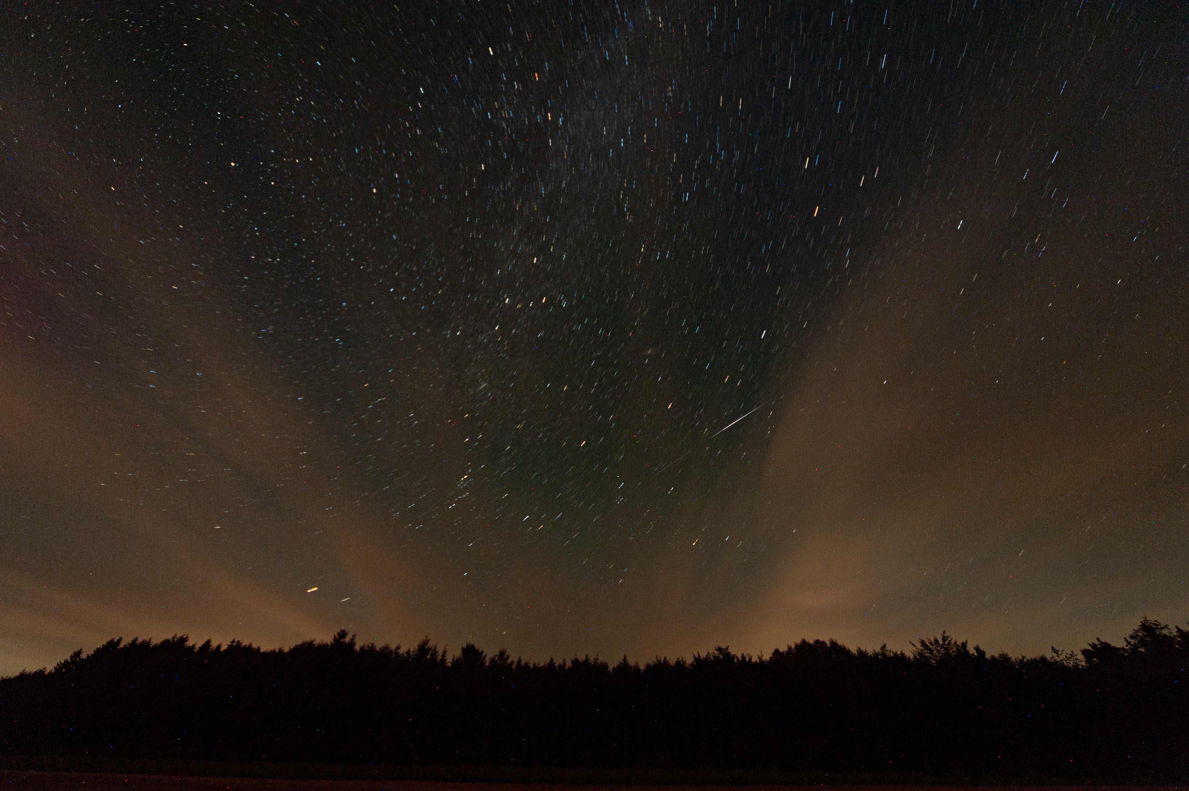 A shooting star in the night sky above a forest